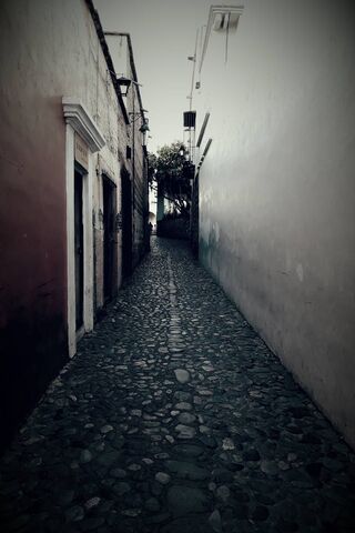 Whispers of Alamos: A Hidden Pathway