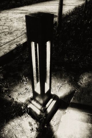 Illuminated Elegance: The Cool Lamp-Post
