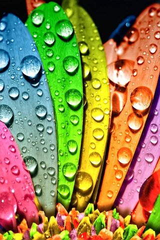 Vibrant Raindrops: Nature's Palette 🌈💧