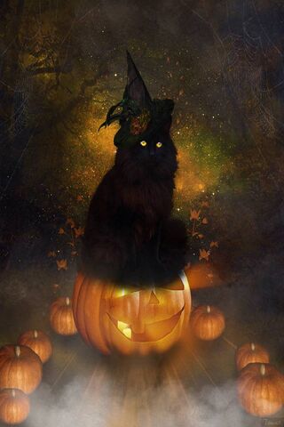 Enchanted Halloween Whi..