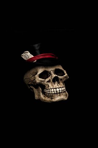 The Dapper Skull: A Touch of Elegance in Darkness 🎩💀