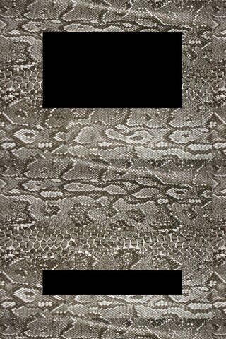 Serpent's Embrace: Thiết kế Snake Lock