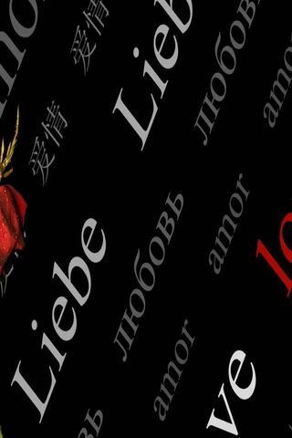 The Universal Language of Love ❤️