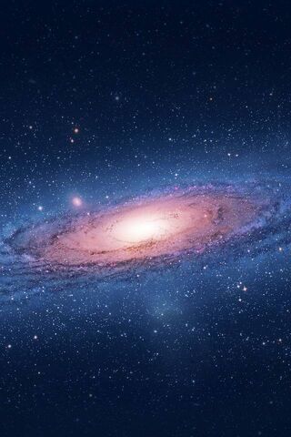 Celestial Wonders: The Andromeda Galaxy 🌌✨
