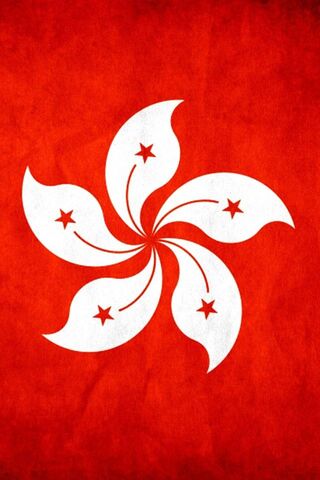 Symbol of Unity: The Hong Kong Flag 🇭🇰