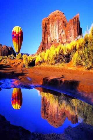 Soaring Colors: A Balloon's Reflection