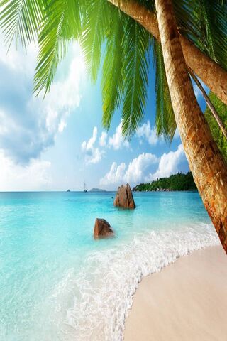 Tropical Paradise Escap..