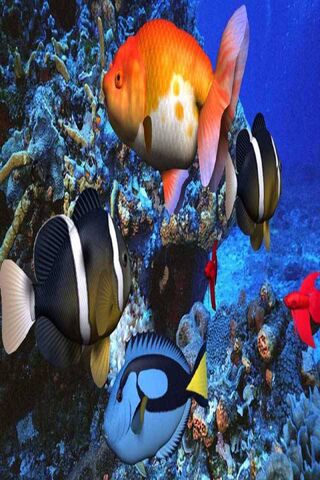 Underwater Fishes