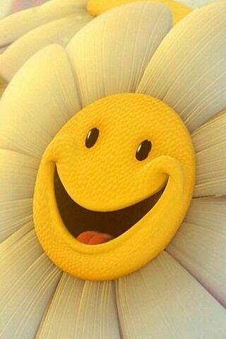 Smiling Flower Wallpaper - Download to your mobile from PHONEKY