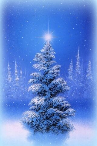 Winter Wonderland: The ..
