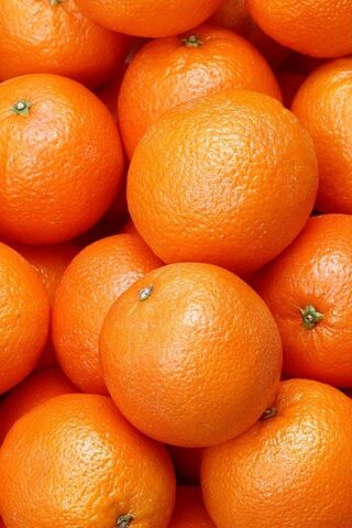 Citrus Sunshine: A Boun..