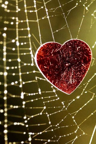 Web of Love: A Heartfelt Connection