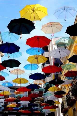 Umbrellas