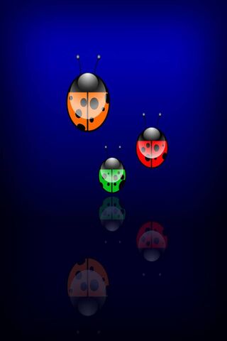 Colorful Ladybug Parade 🐞✨