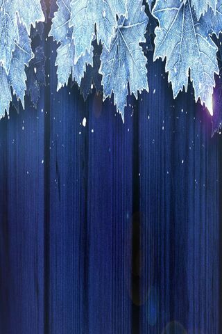 Chill of Winter: Frosted Leaves