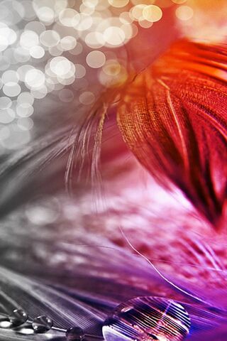 Glistening Whispers of Nature