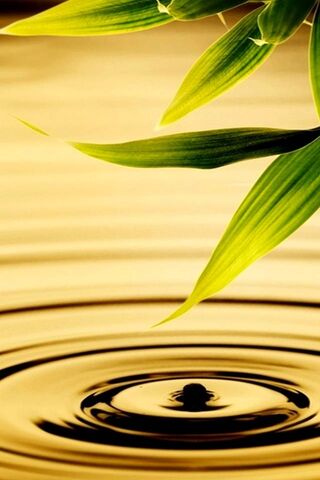 Golden Ripples of Serenity 🌿✨