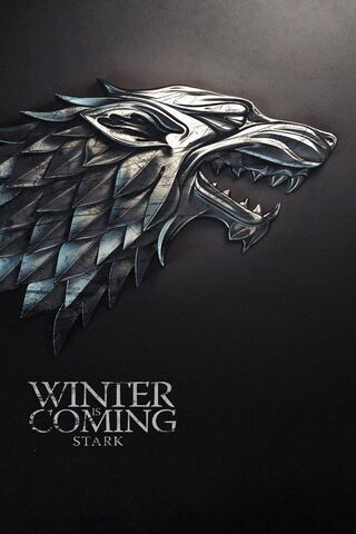 The Stark Legacy: A Winter's Call ❄️🐺