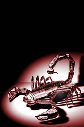 Gleaming Guardian: The Metallic Scorpion