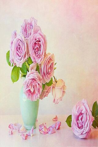 Soft Pink Roses