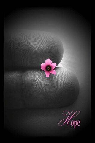 A Touch of Hope 🌸