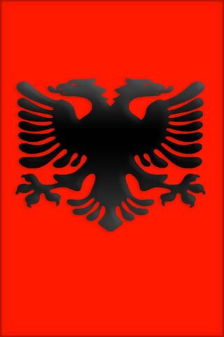 Albania's Bold Emblem 🇦🇱