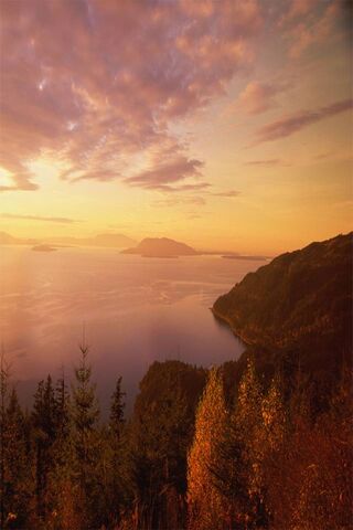 Serenity at Sunset: Captured by Xperia Z3 🌅📱