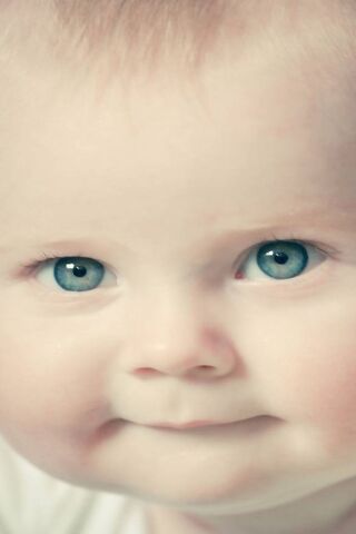 Adorable Cutie Pie: A Smile to Brighten Your Day! 🍰😊