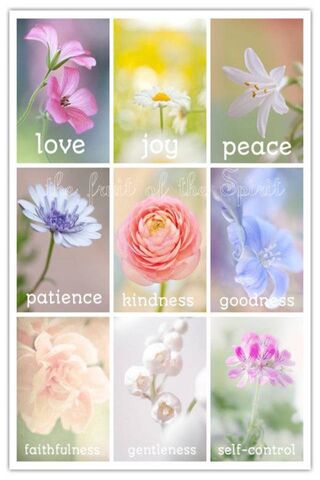 The Essence of Serenity 🌸✨