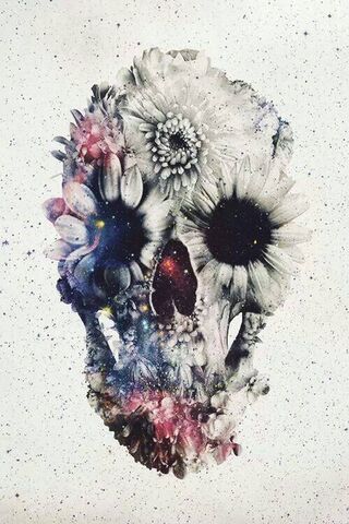 Floral Whispers of the ..