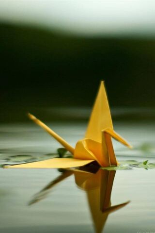 Sailing Dreams: The Paper Boat Adventure 🚤✨