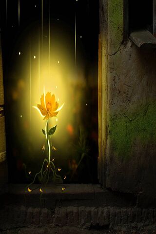 Glowing Rose Wallpaper - Download to your mobile from PHONEKY