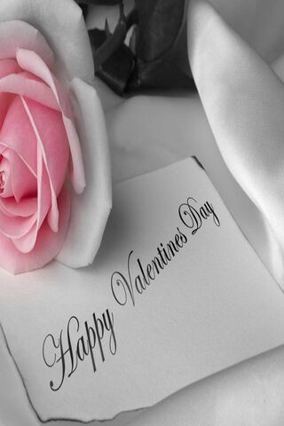 Love Blooms: A Valentine's Day Tribute 🌹💌