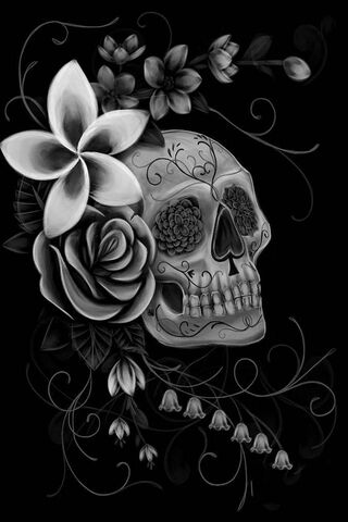 Eternal Beauty: The Dan..