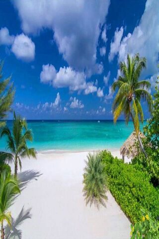 Tropikalna plaża