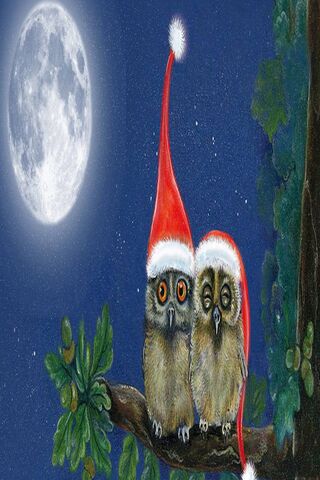 Owl-mazing Christmas Night! 🎄🦉