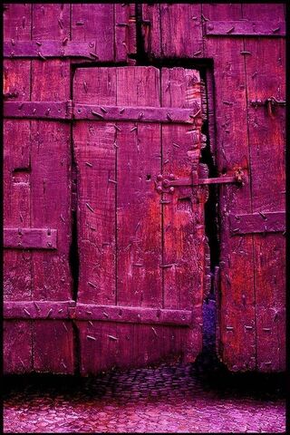 Pink Door