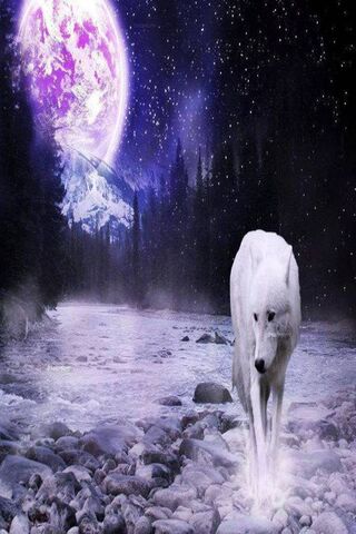 Lunar Guardian: The Mys..