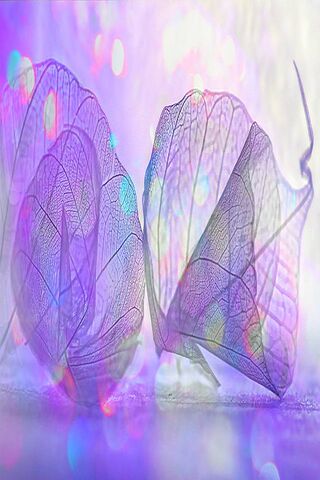 Enchanted Elegance of Purple Leaves 🌿✨