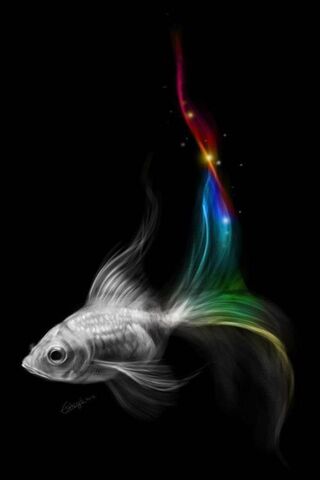 Rainbow Dreams: The Enc..