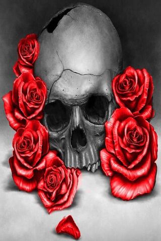 Color Skull Roses Wallpaper - Download to your mobile from PHONEKY