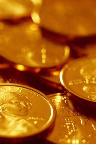 Treasures of Wealth: A Glimpse of Gold