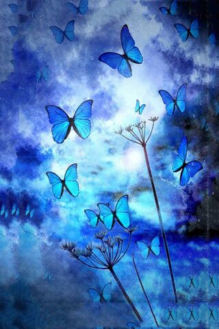 Whispers of the Blue Butterfly