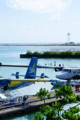 Tropical Gateway: A Scenic Airport View 🌴✈️