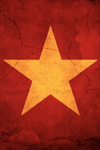 Vietnam Flag