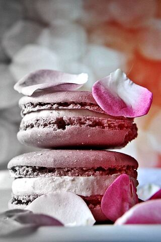 Delightful Macarons: A Sweet Treat for the Senses 🍬✨