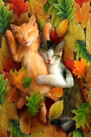 Autumn Cats