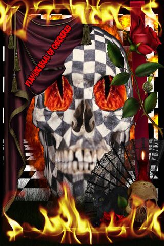 Fiery Elegance: The Checkered Skull