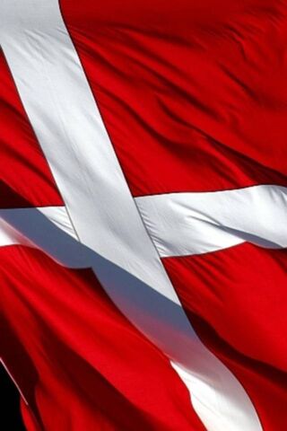 Waving Pride: The Danish Flag 🇩🇰