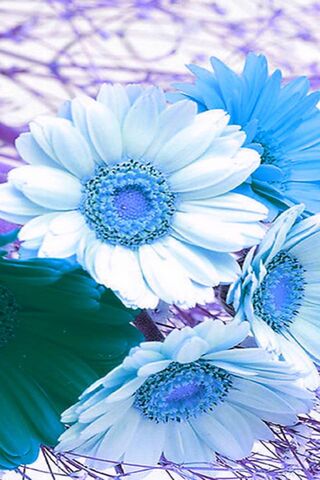 Whispers of Serenity: Blue Blossoms